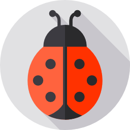 Ladybug icon