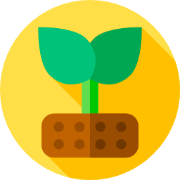 Sprout icon