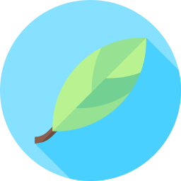 Leaf icon