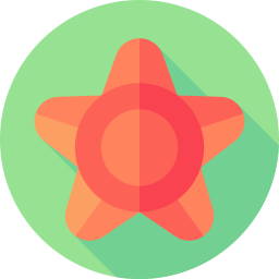 Starfish icon