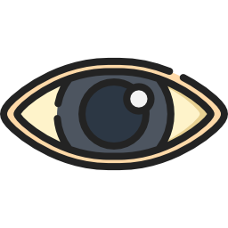 Eye icon