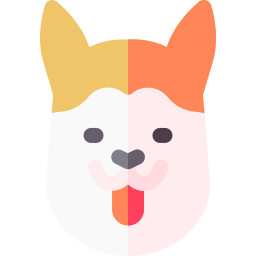 shiba inu Icône