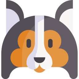 Shetland sheepdog icon