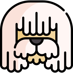 bergamasco icon