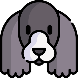 Cocker spaniel icon