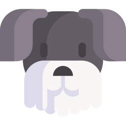 Miniature schnauzer icon