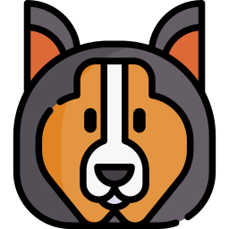 collie icon