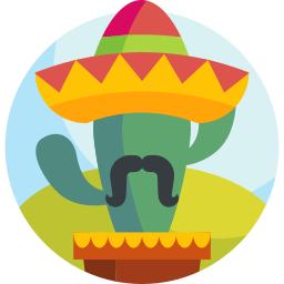 cinco de mayo icon