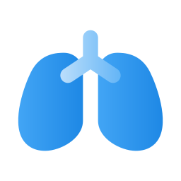 Lung icon