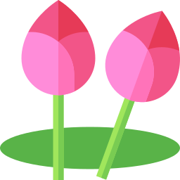 Lotus icon