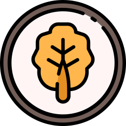 Kimchi icon