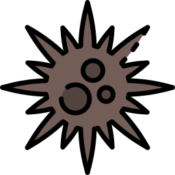 Sea urchin icon