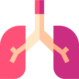 Lungs icon