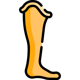 Prosthetic icon