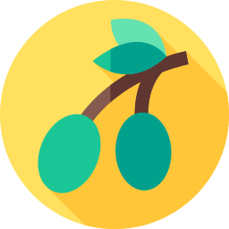 olive icon