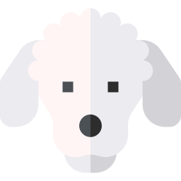 poodle Ícone