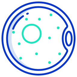 ovum icon