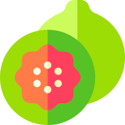 Guava icon