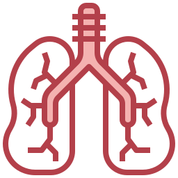 Lungs icon