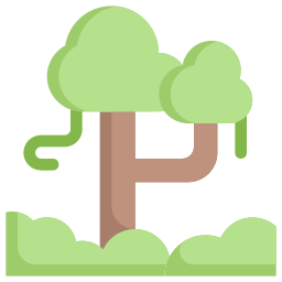 Rainforest icon