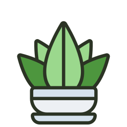 Succulent icon