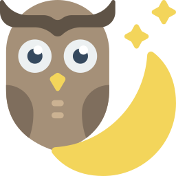 Owl icon