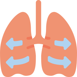 Lungs icon