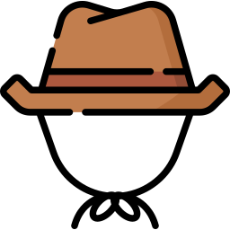 Cowboy hat icon