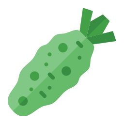 wasabi icon