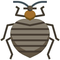 Bedbug icon