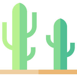 cactus icoon