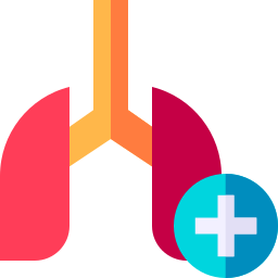 Lungs icon