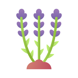 lavendel icon