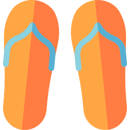 flip flops icon