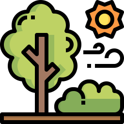 Forest icon