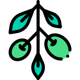 Olive icon