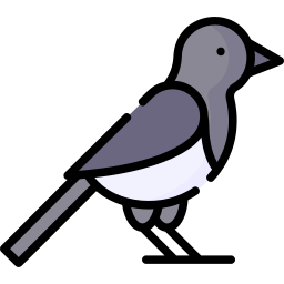 Bird icon