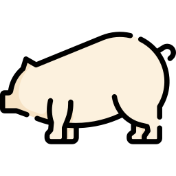 Pig icon