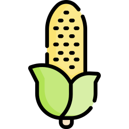 Corn icon