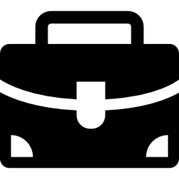 Business portfolio icon