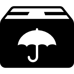 paquet de livraison avec symbole de parapluie Icône