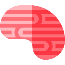 Brain icon