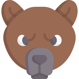 Bear icon