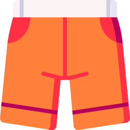 shorts Icône