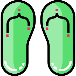 Flip flops icon