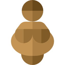 Venus icon