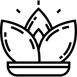 lotus icon