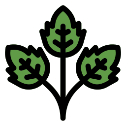 Parsley icon