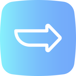 Right arrow icon