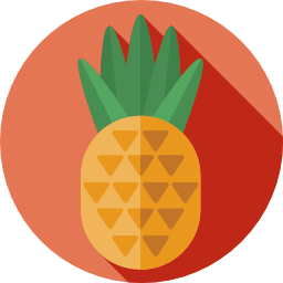 ananas icon